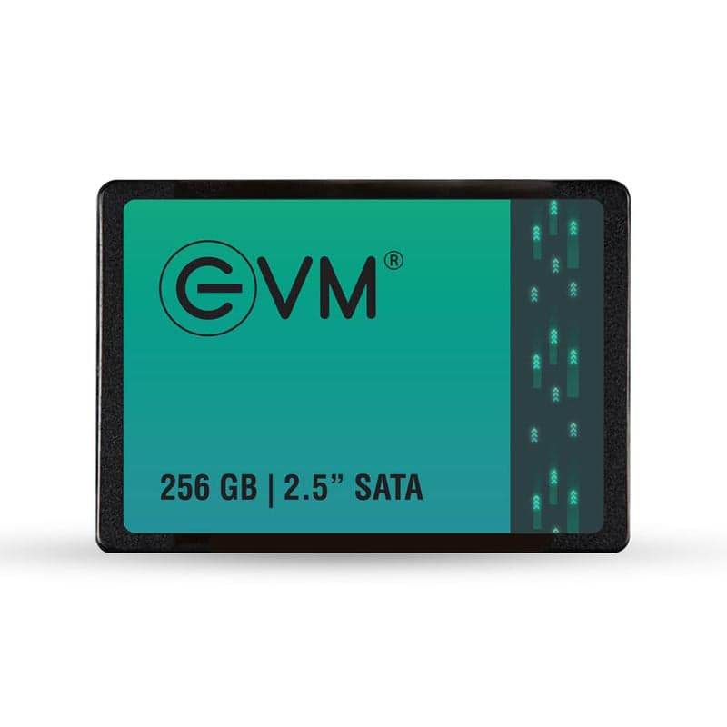 EVM 256GB INTERNAL SATA SSD EVM25/256GB